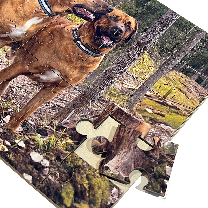 Palapeli omasta kuvasta