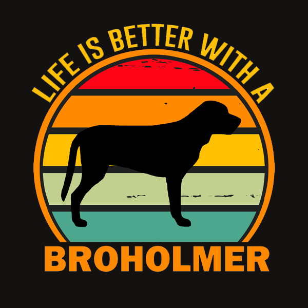 Broholmer-collegepaita