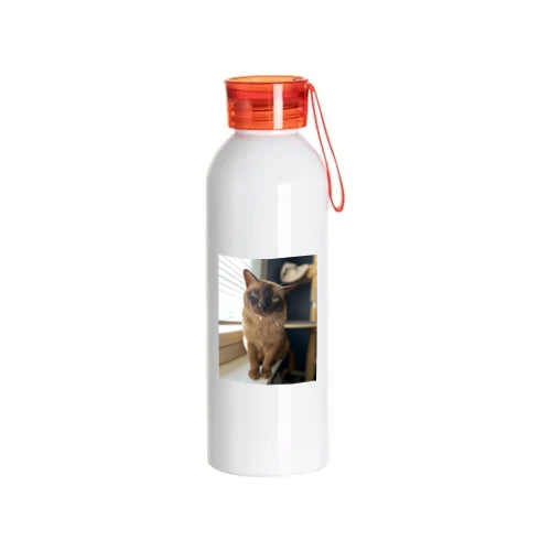 Juomapullo omalla kuvalla 750 ml