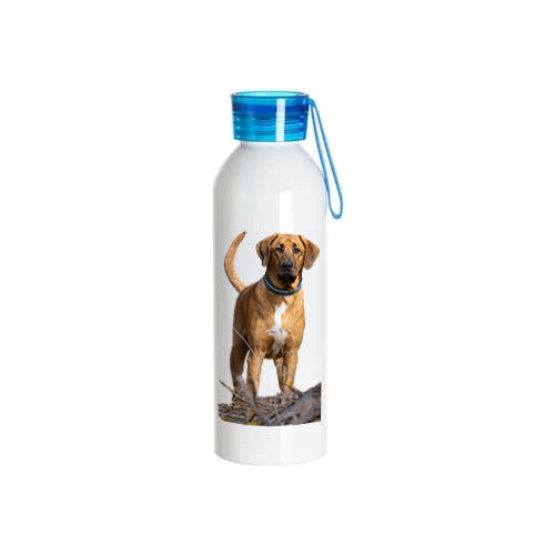 Juomapullo omalla kuvalla 750 ml