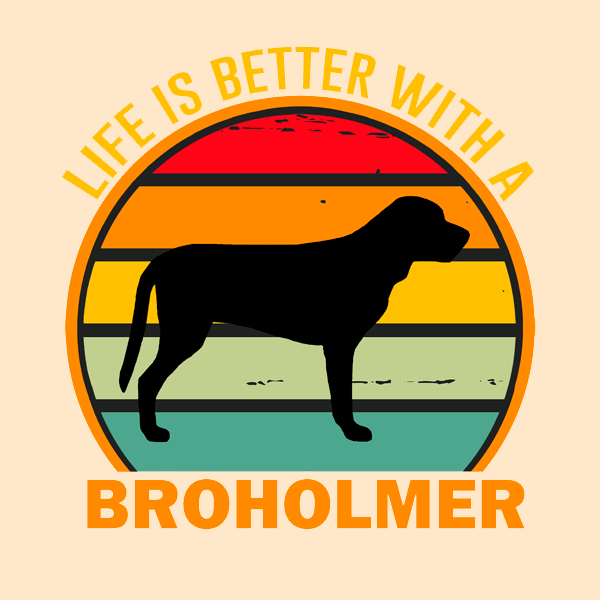 Broholmer-kassi