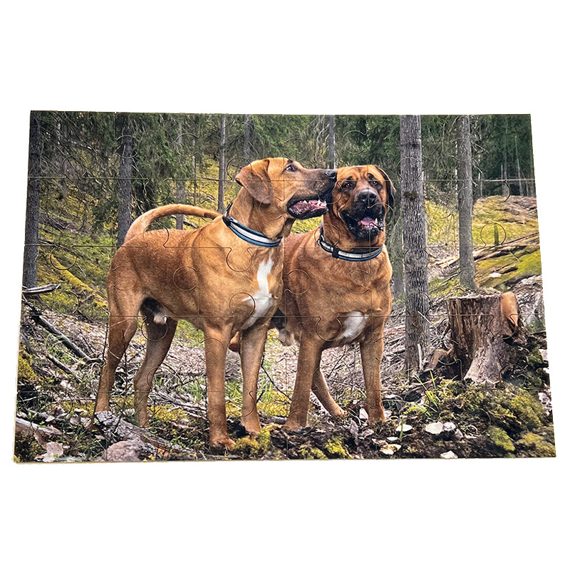 Palapeli omasta kuvasta