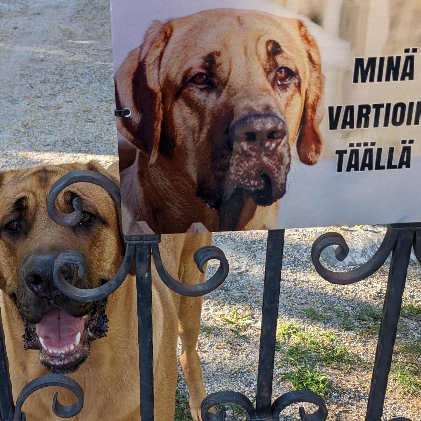 Täällä vartioin minä -alumiinikyltti