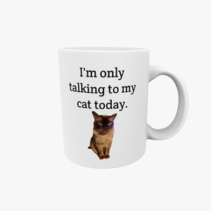 Only talking to my cat -muki